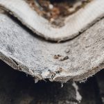 Maximizing Space: Creative Custom Pool Designs for Small Boutique Hotels