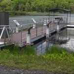 I Found One Bed Bug in My Denver Apartment. Should I Panic? Hot Bugz Explains What to Do Next