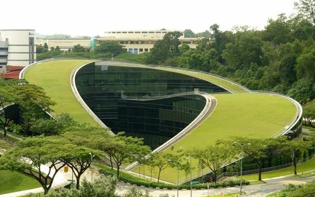 green roofs