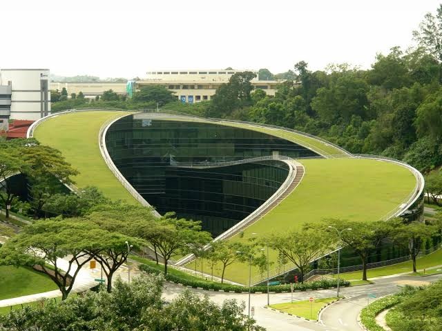 Green Roofs: The Rooftop Trend Cities Can’t Stop Investing In